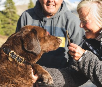 medicare aged couple with brown dog
