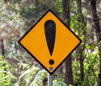 road sign in forest